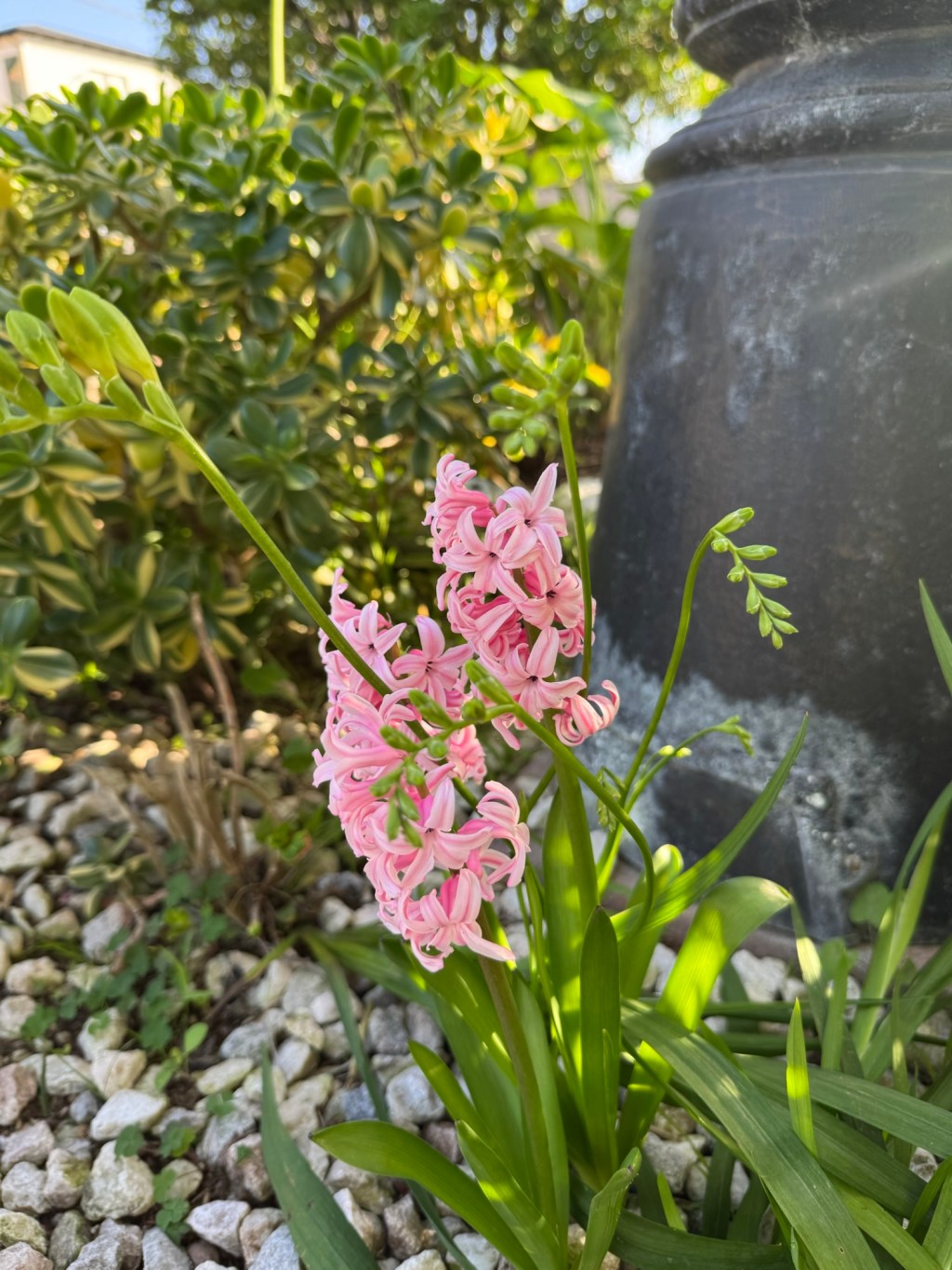 Starting To Feel Like&nbsp;Spring